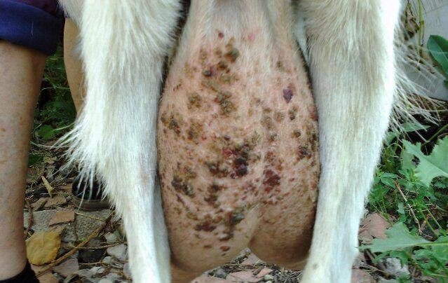 Наглядный пример.