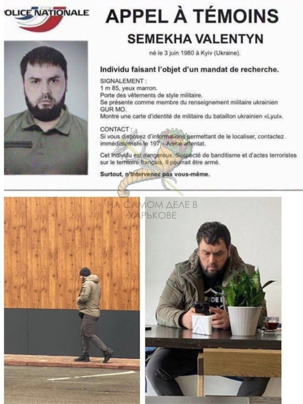    Украинцев выгоняют из стран ЕС, но возвращаться они не планируют, поэтому стране нужны мигранты