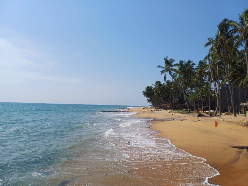 Вьетнам. Автор: Яна Астрова