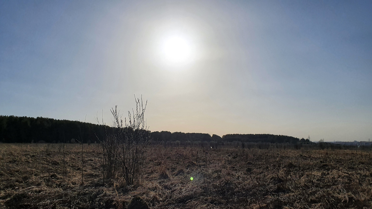 Представляю как будет здесь летом - все зеленое