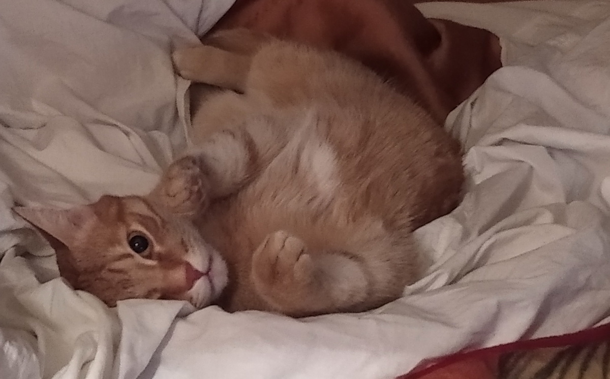 Личное фото. 