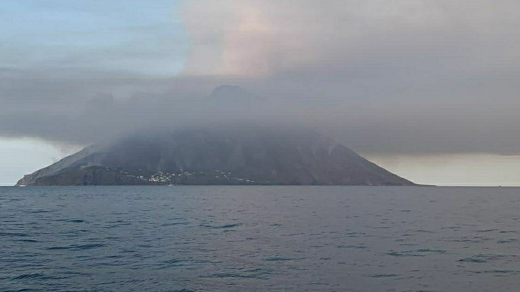    фото: ElisaScarpa/ twitter.com