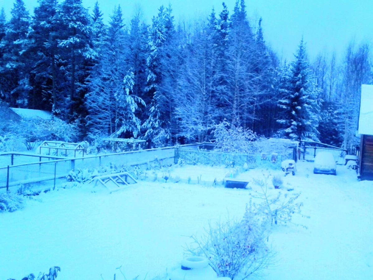 Фото автора канала 