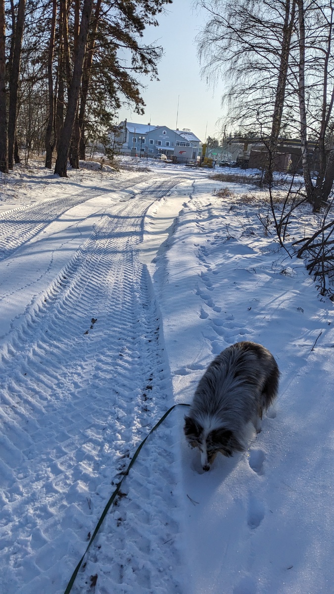 На остановках) 