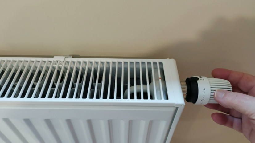    Фото: russian.rt.com Георгий