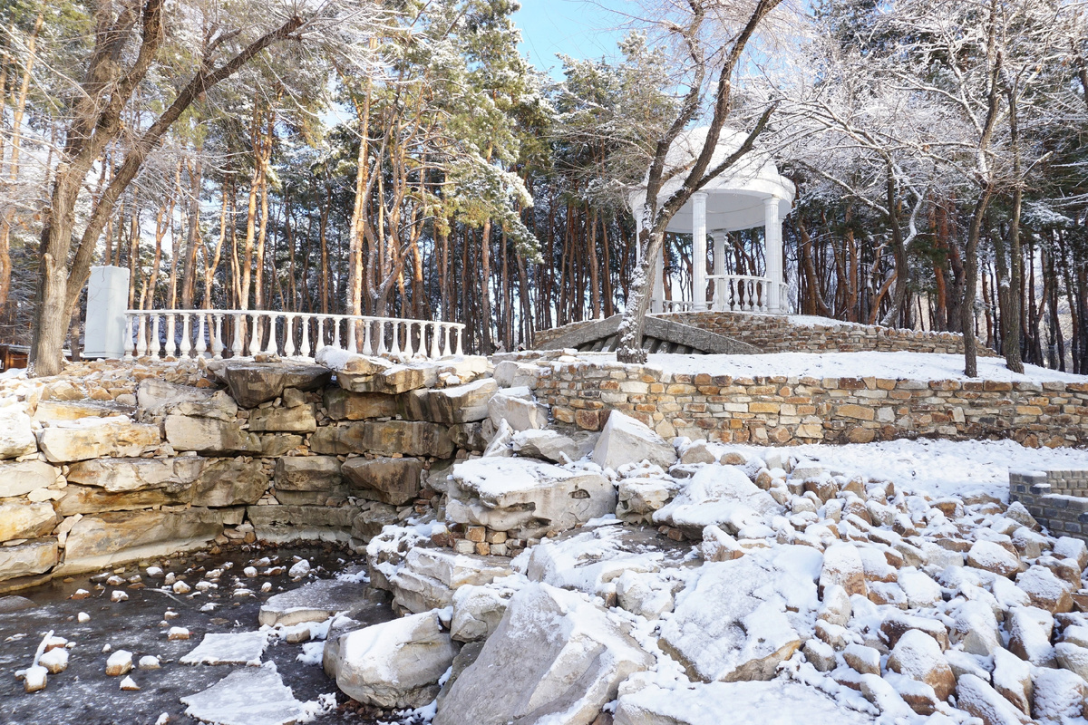 В парке Дельфин, г. Воронеж