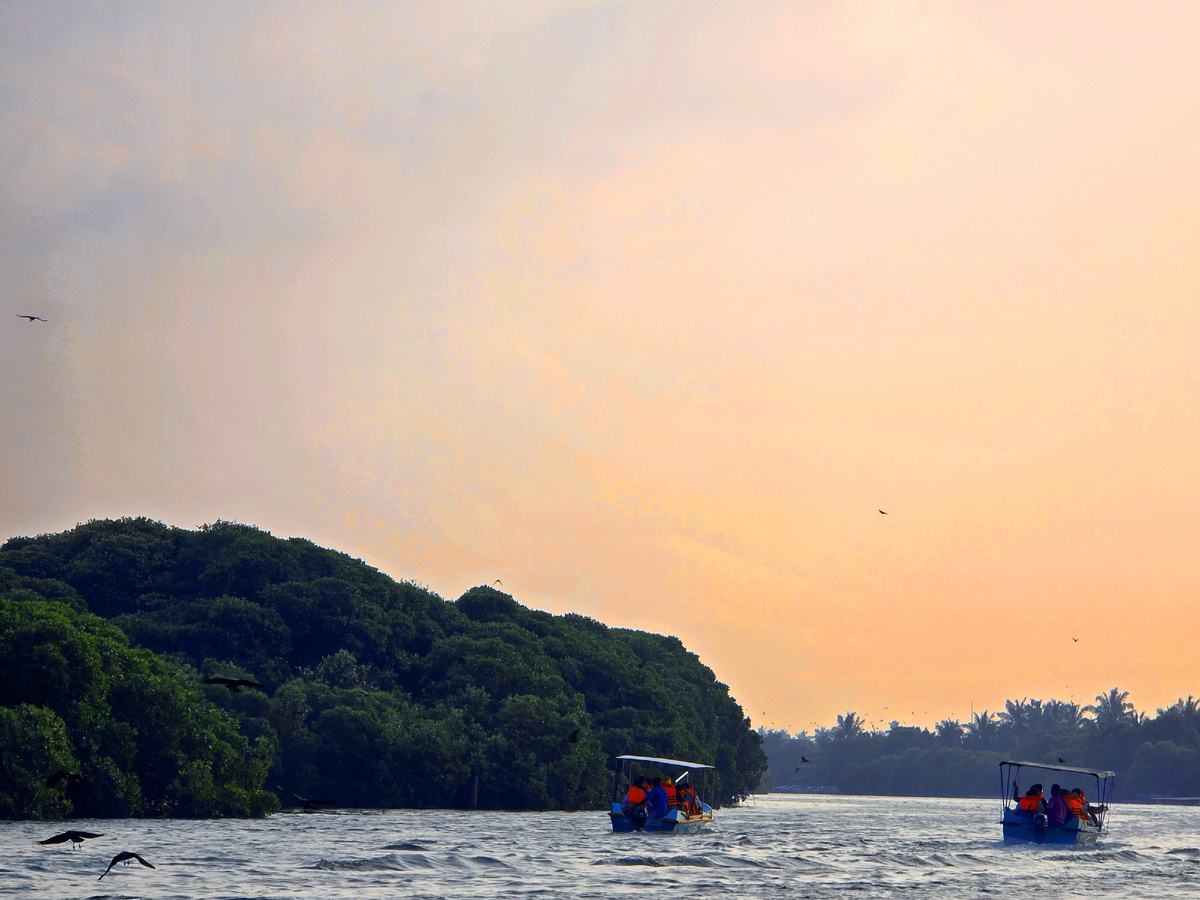 Шри-Ланка, январь 2025 г.