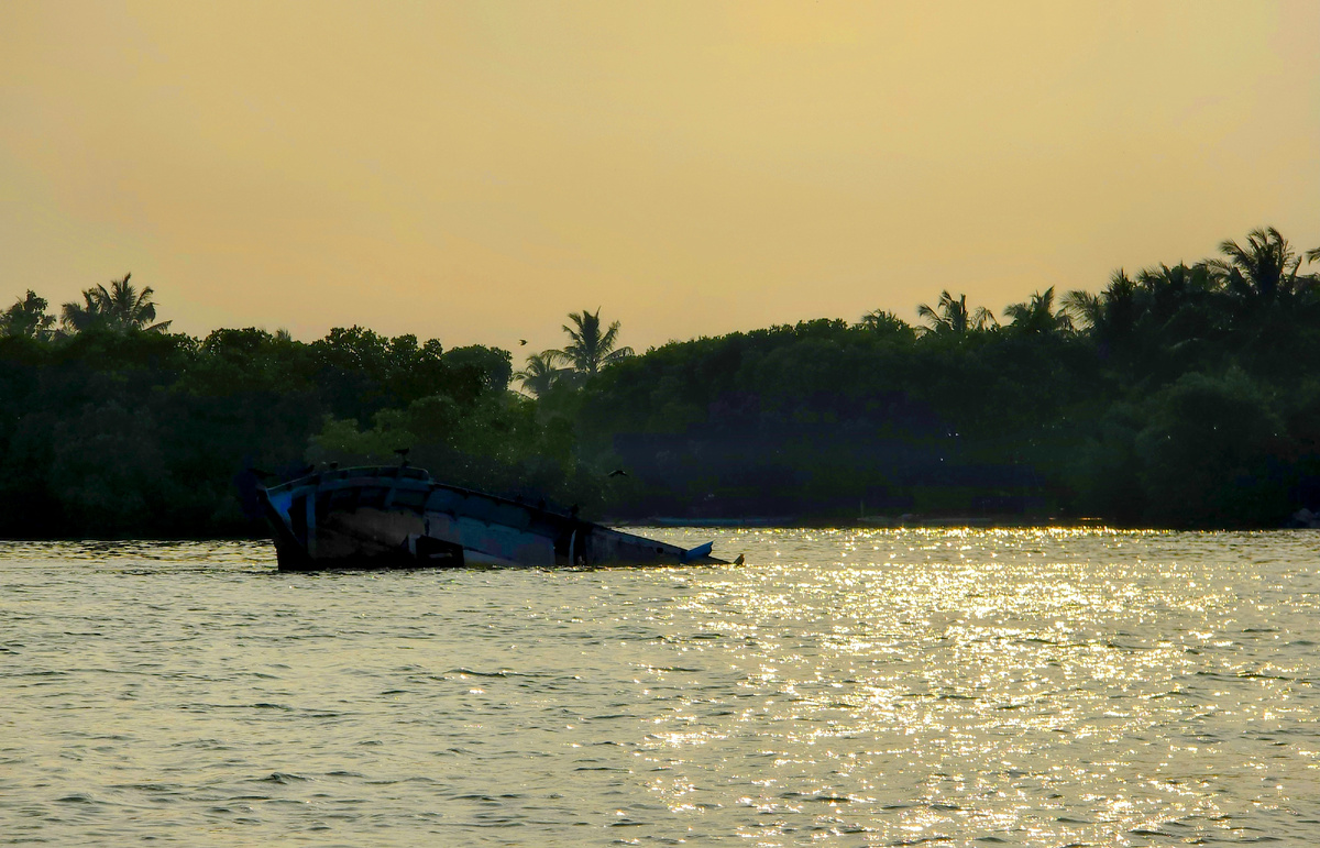 Шри-Ланка, январь 2025 г.