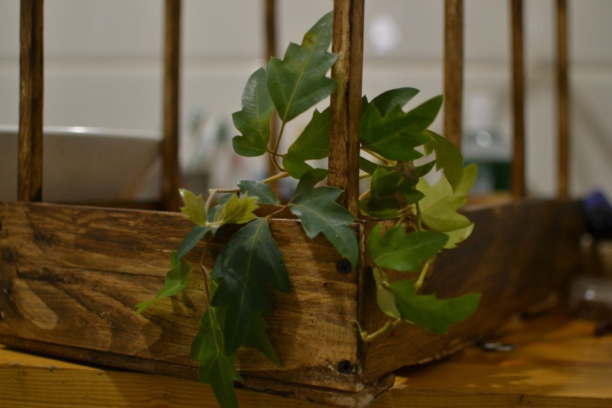 Тот самый черенок