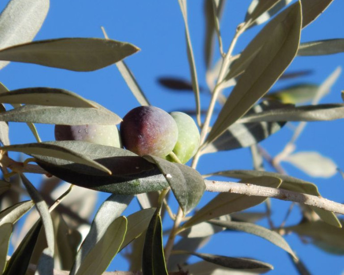 Турция. Природа Фетхие