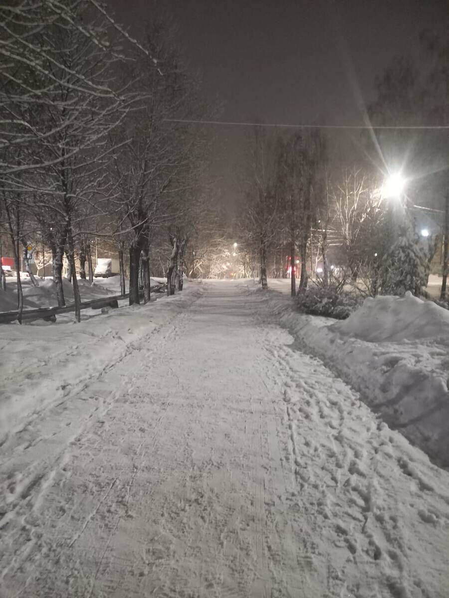 Тихая моя улица...