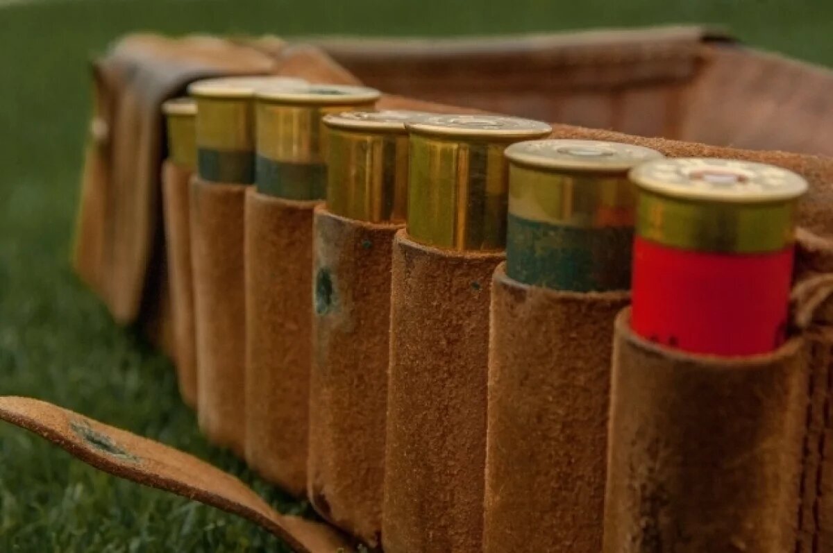    Кораблинец нарушил закон, принеся домой найденные в лесу патроны