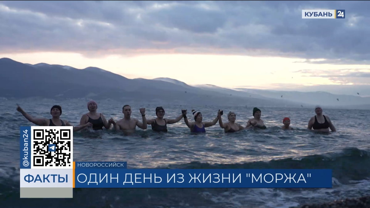    Видео канала «Кубань 24»