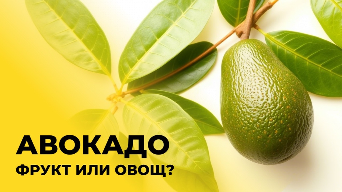 Авокадо это фрукт или овощ