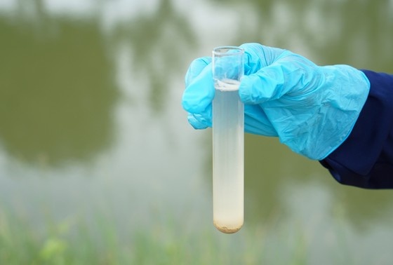    Shutterstock/FOTODOM