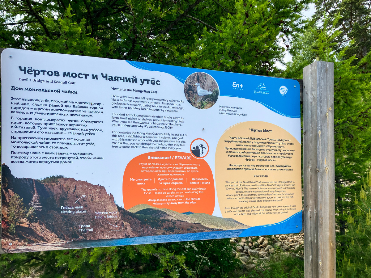 Стенд с информацией о Чаячьем утёсе на Большой Байкальской тропе. Фото Романа
