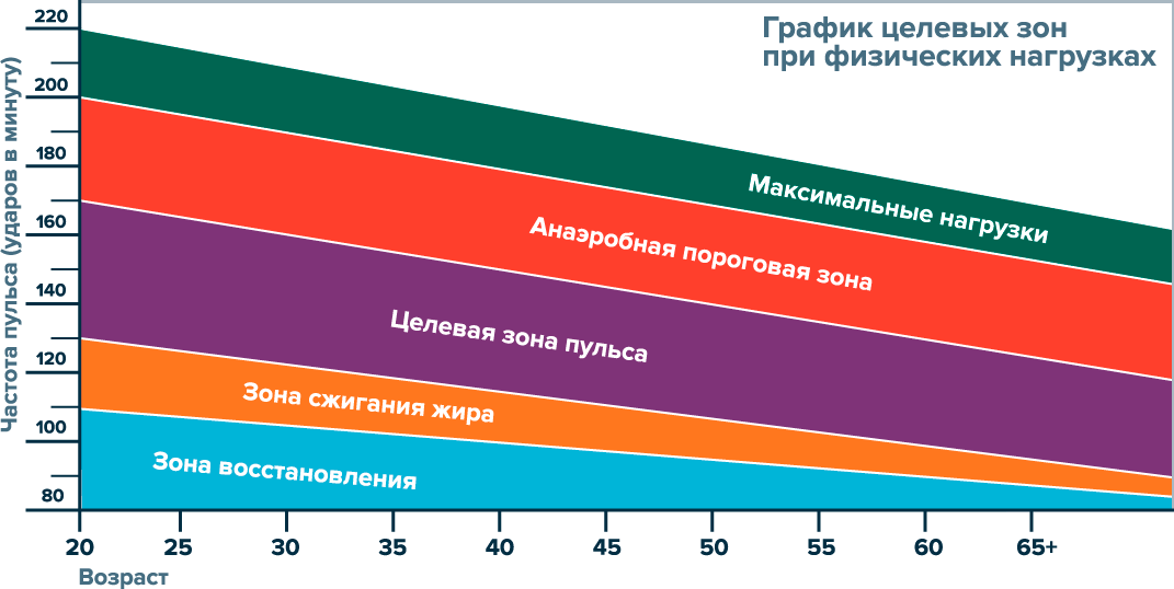 График с пульсовыми зонами для разных типов нагрузок.
График с пульсовыми зонами для разных типов нагрузок.
