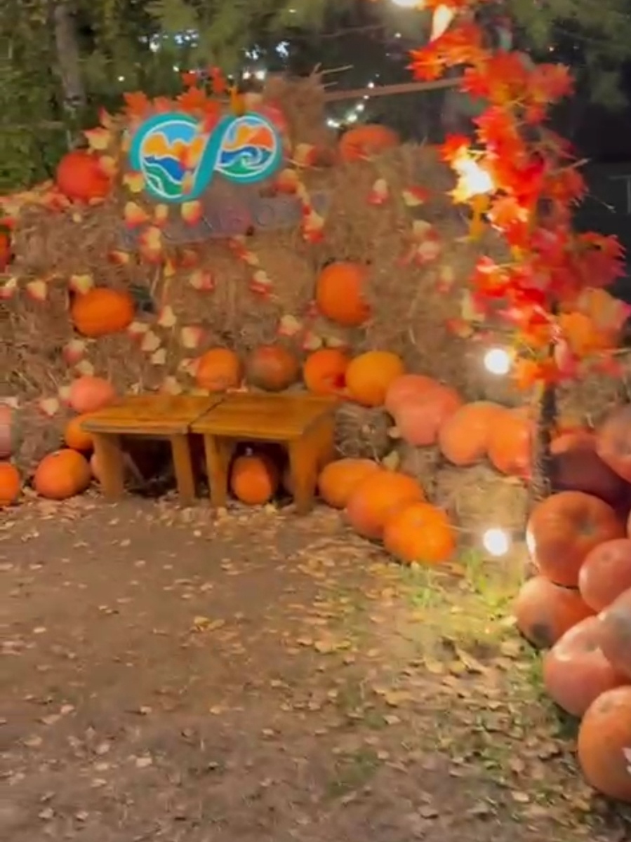 Фото друзья выслали