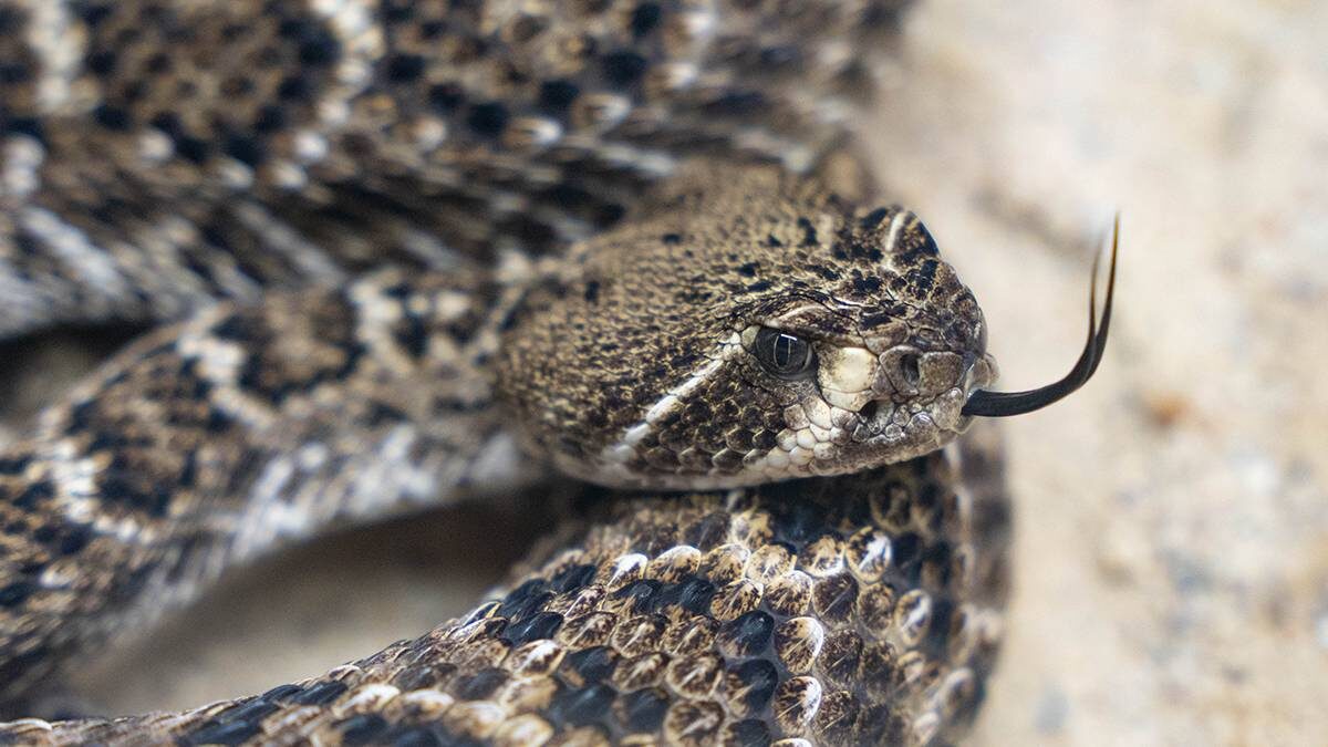    Фото: Андрей Мишин / Вечерняя Москва