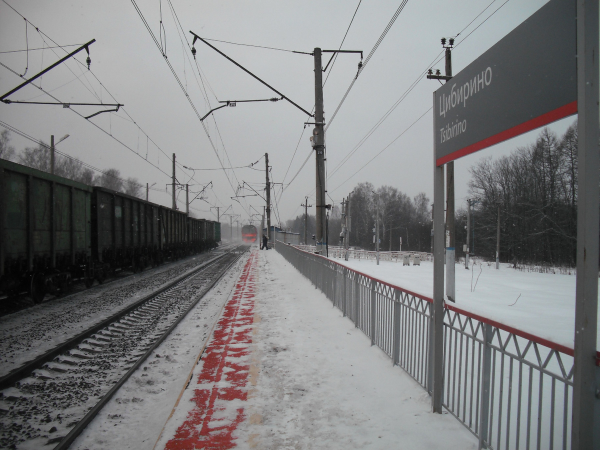 платформа Цибирино. Мимо пролетают товарняки с севера на Москву.