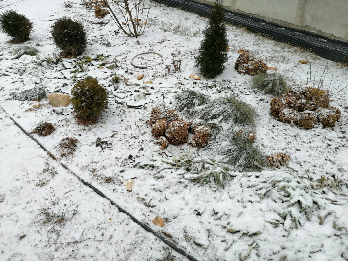 За ночь такая красота появилась. И даже пока не растает. 