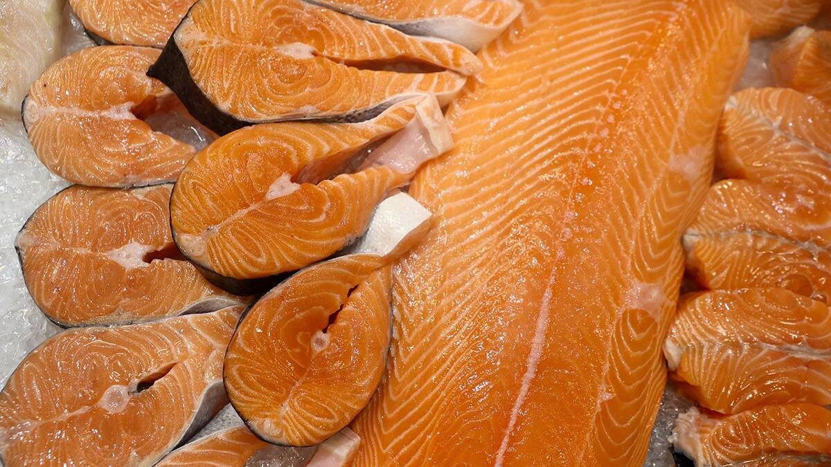    Фото: Ярослав Чингаев / АГН Москва