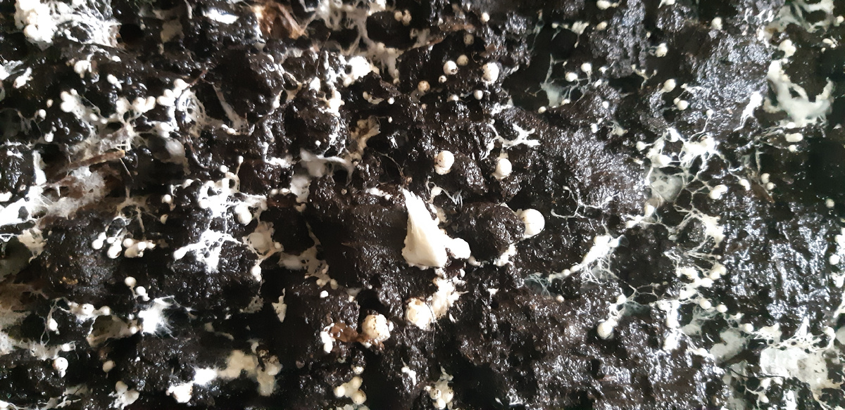 Вон сколько шариков высыпало!