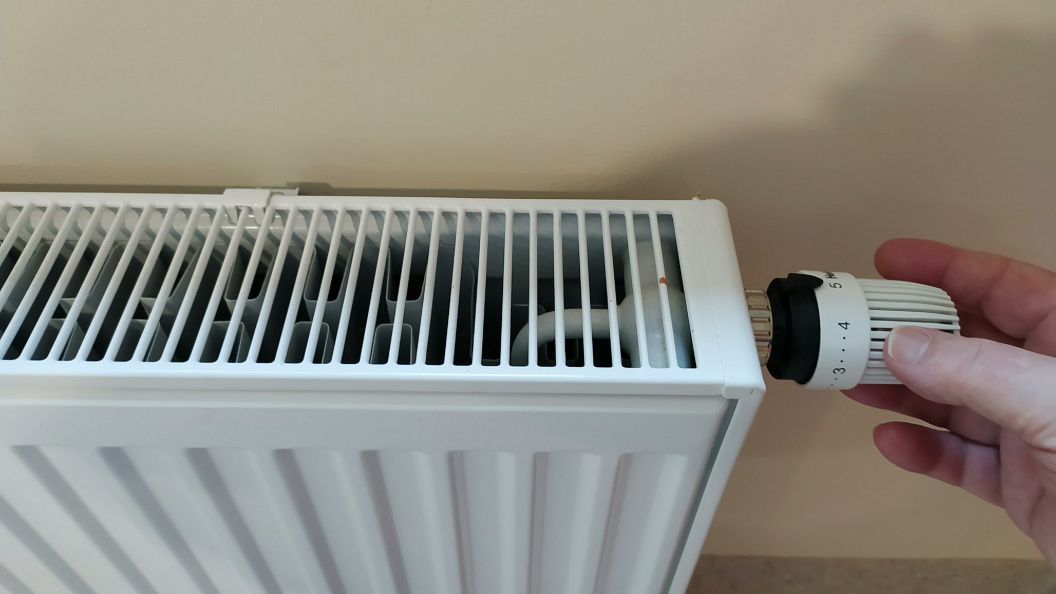    Фото: Victor Lisitsyn, Виктор Лисицын/Globallookpress