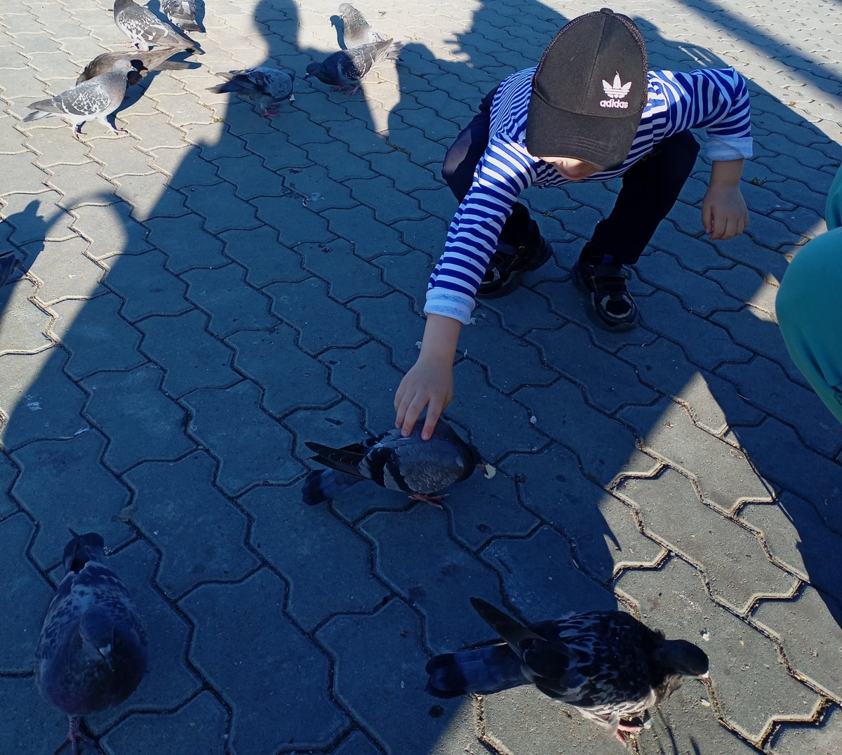 Фото автора. 