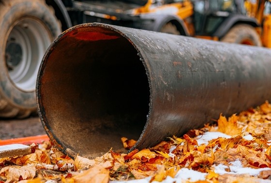    Shutterstock/FOTODOM