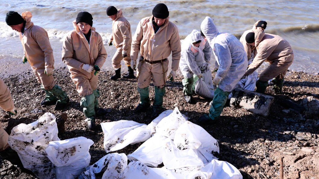    Фото: Roman Naumov/Globallookpress