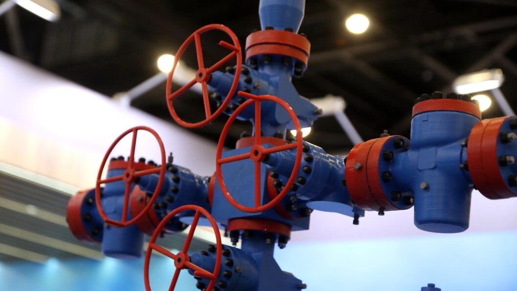    Maksim Konstantinov/Globallookpress