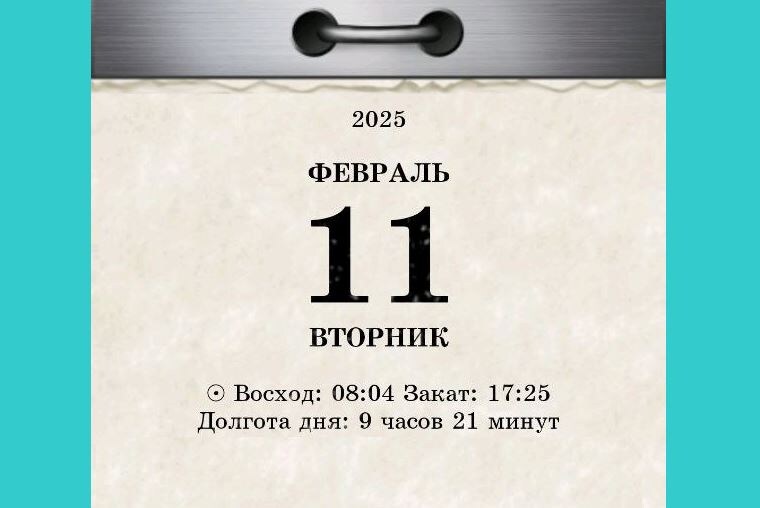 11 февраля 2025 года / 2024-2025 © АрхиФактум