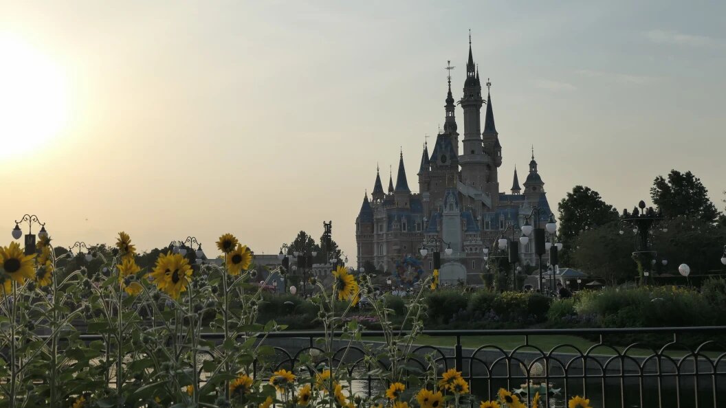    ФОТО: Cfoto/Globallookpress