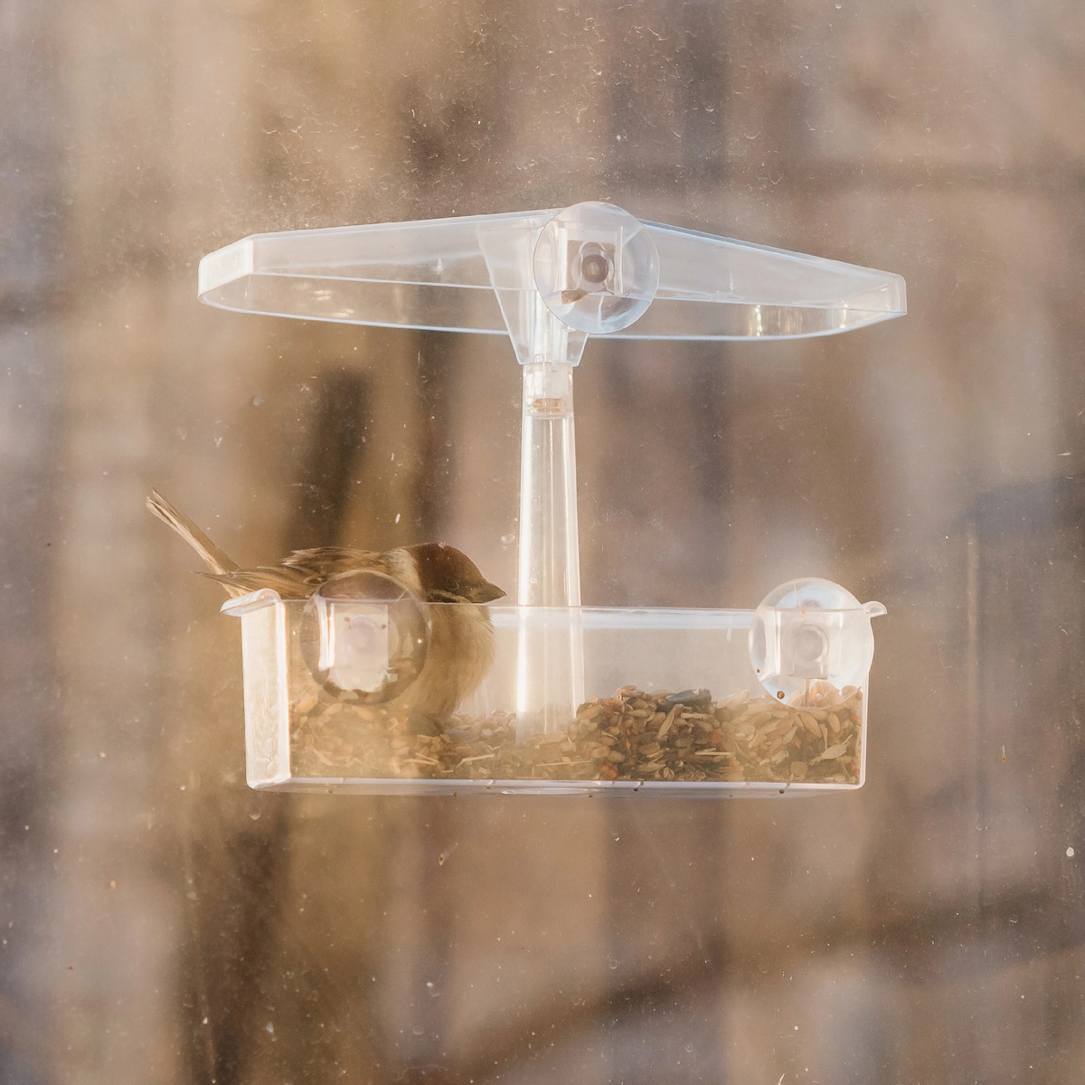 Он просто сидит в кормушке, пока не наестся