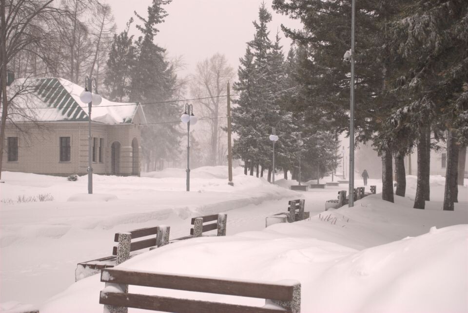    Зима. Непогода. Барнаул. Источник: Елизавета Жаринова/"Толк"