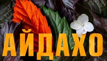 Айдахо: Эмили Раскович