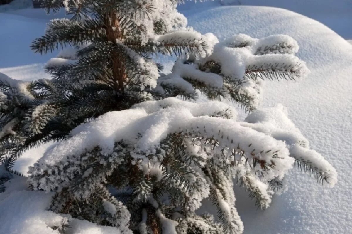    Жителям Новосибирска рассказали об опасных запретах в Лаврентьев день