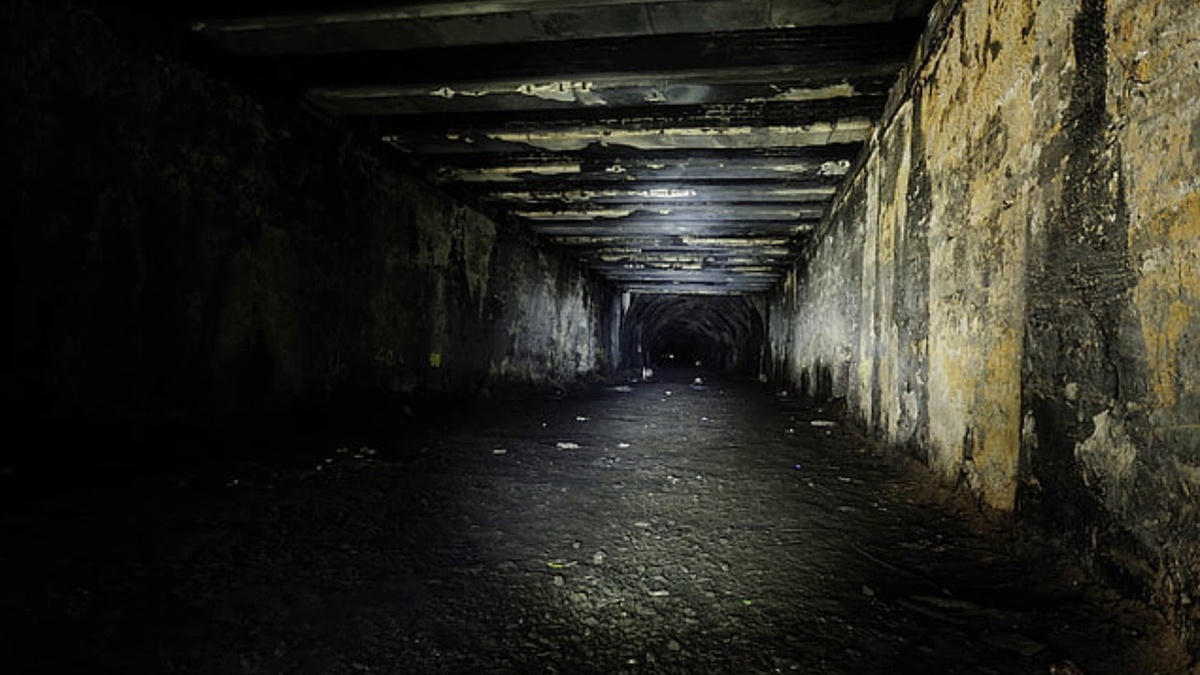 Изображение взято из открытых источников интернета. 