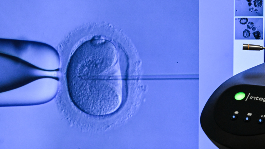    Фото: www.globallookpress.com/Jens Kalaene; 5-tv.ru