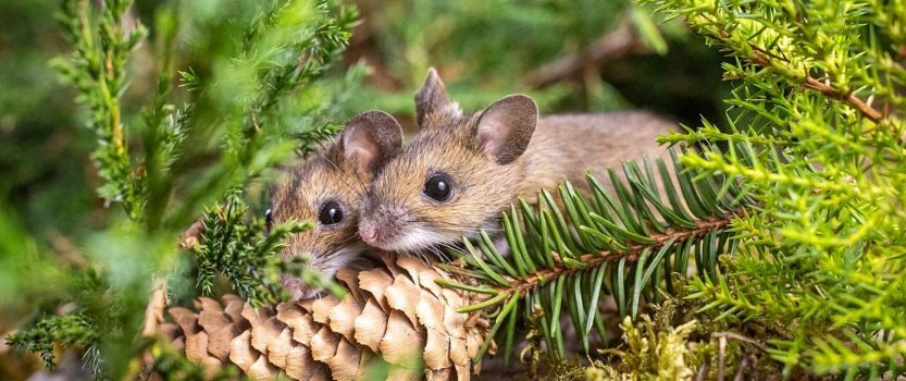 фото из сети