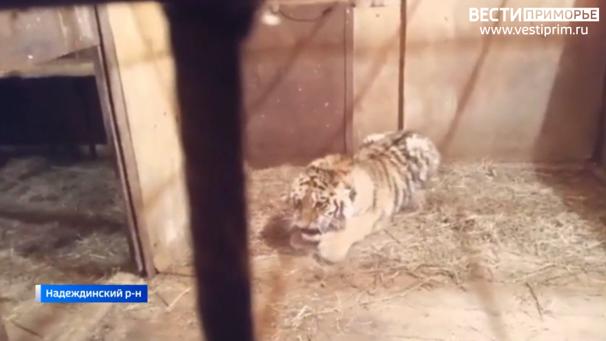    Источник фото: