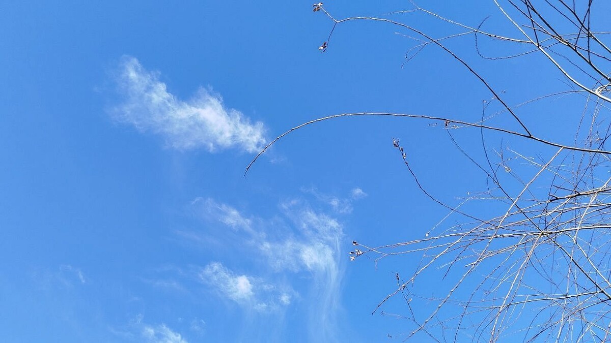    Фото: телеканал «Краснодар»