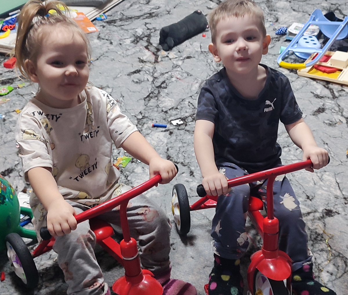 Мия и я дома. Игровой день у них в самом разгаре и игрушки ровным слоем распределены по всему полу. 