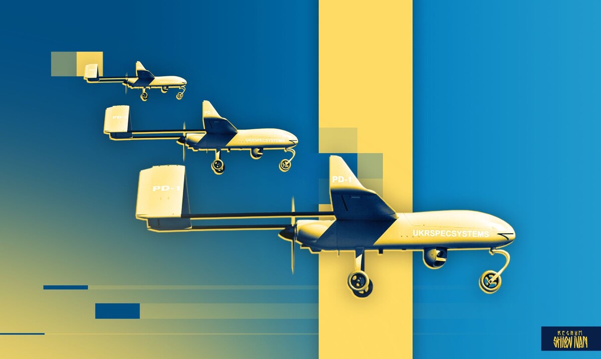    Украинский БПЛА / Источник: Иван Шилов (с) ИА REGNUM