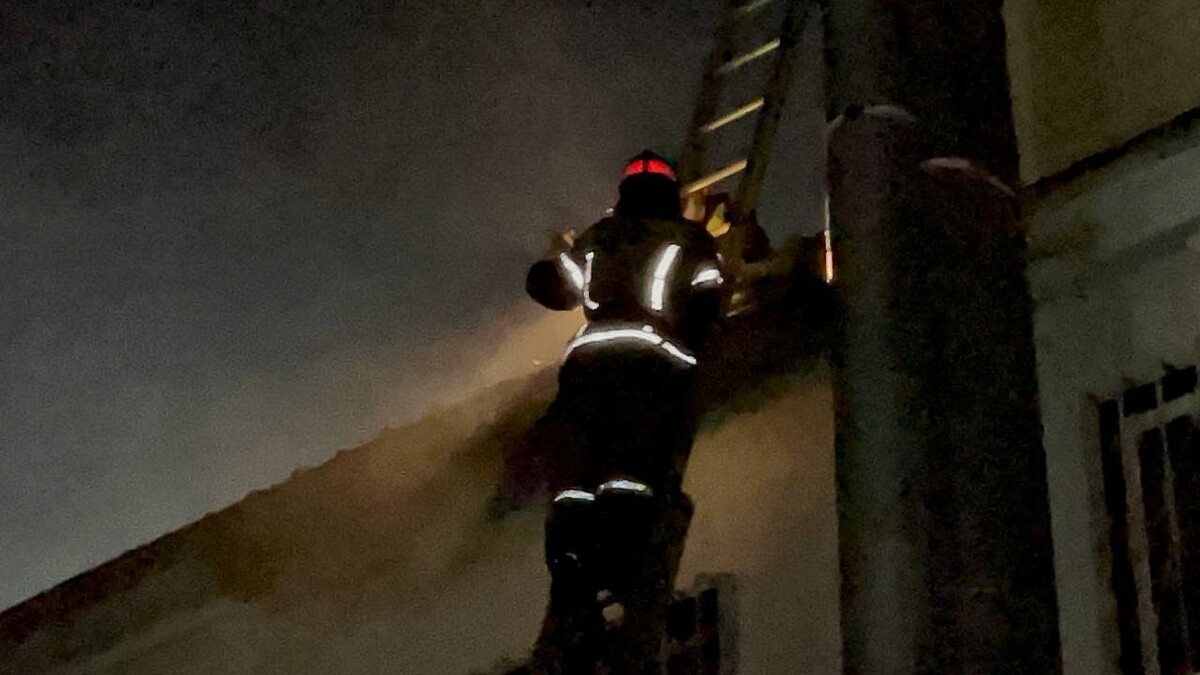    Фото: телеканал «Краснодар»