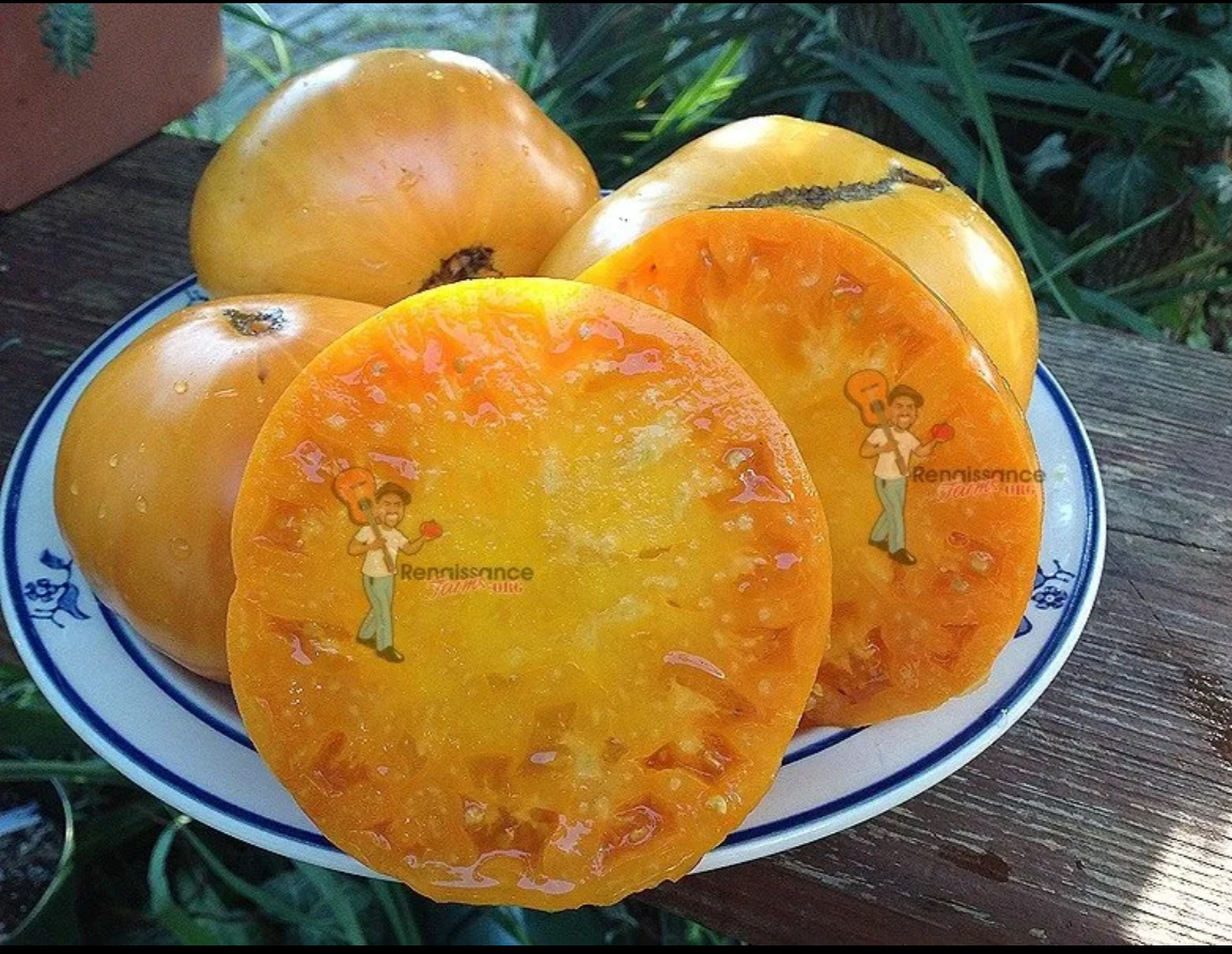 * фото из интернета