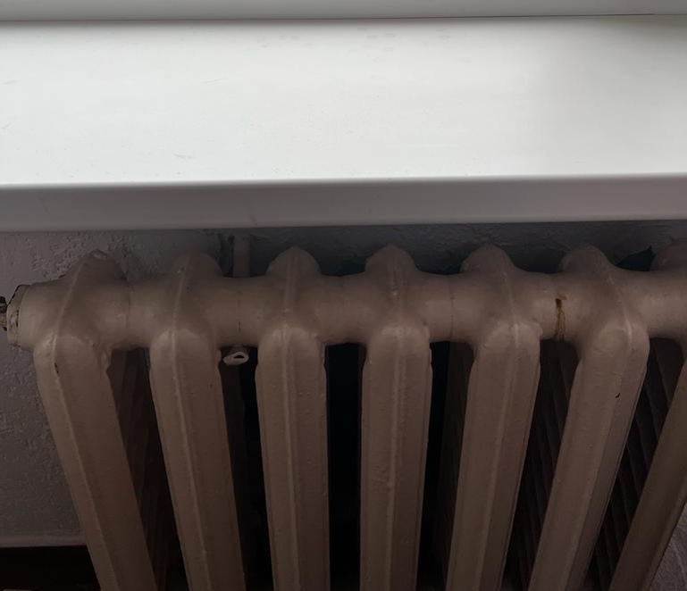    Фото "Голоса правды"