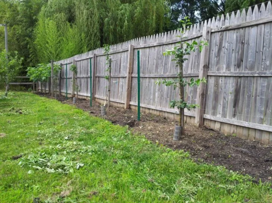 Картинка из интернета.