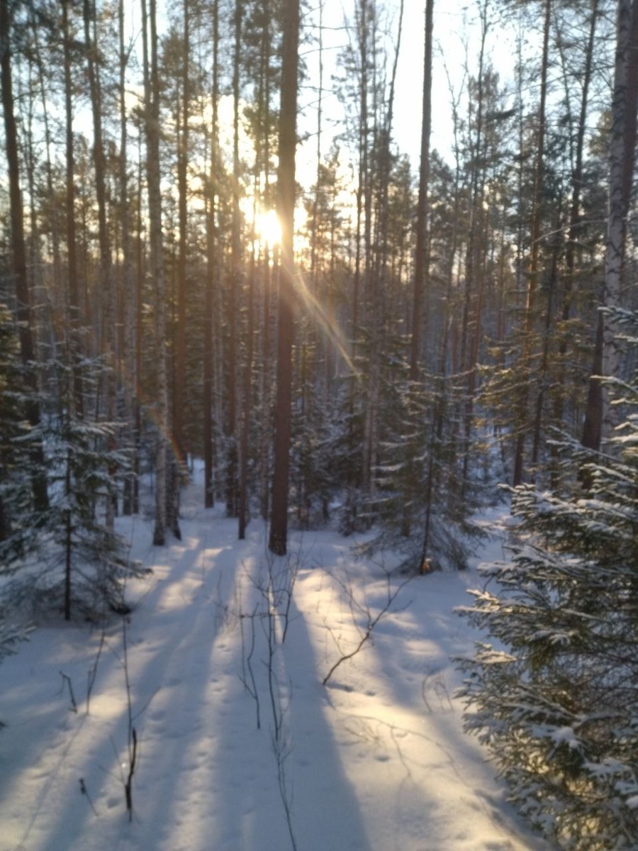 Фото из архивов автора